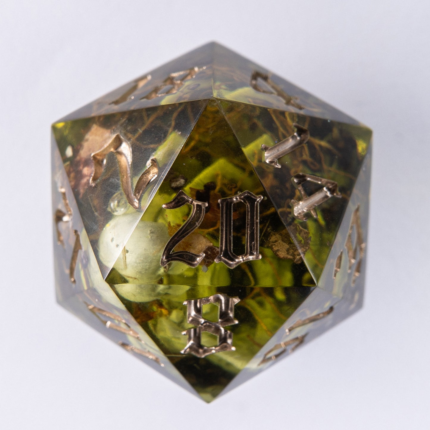 D20: Dead waters