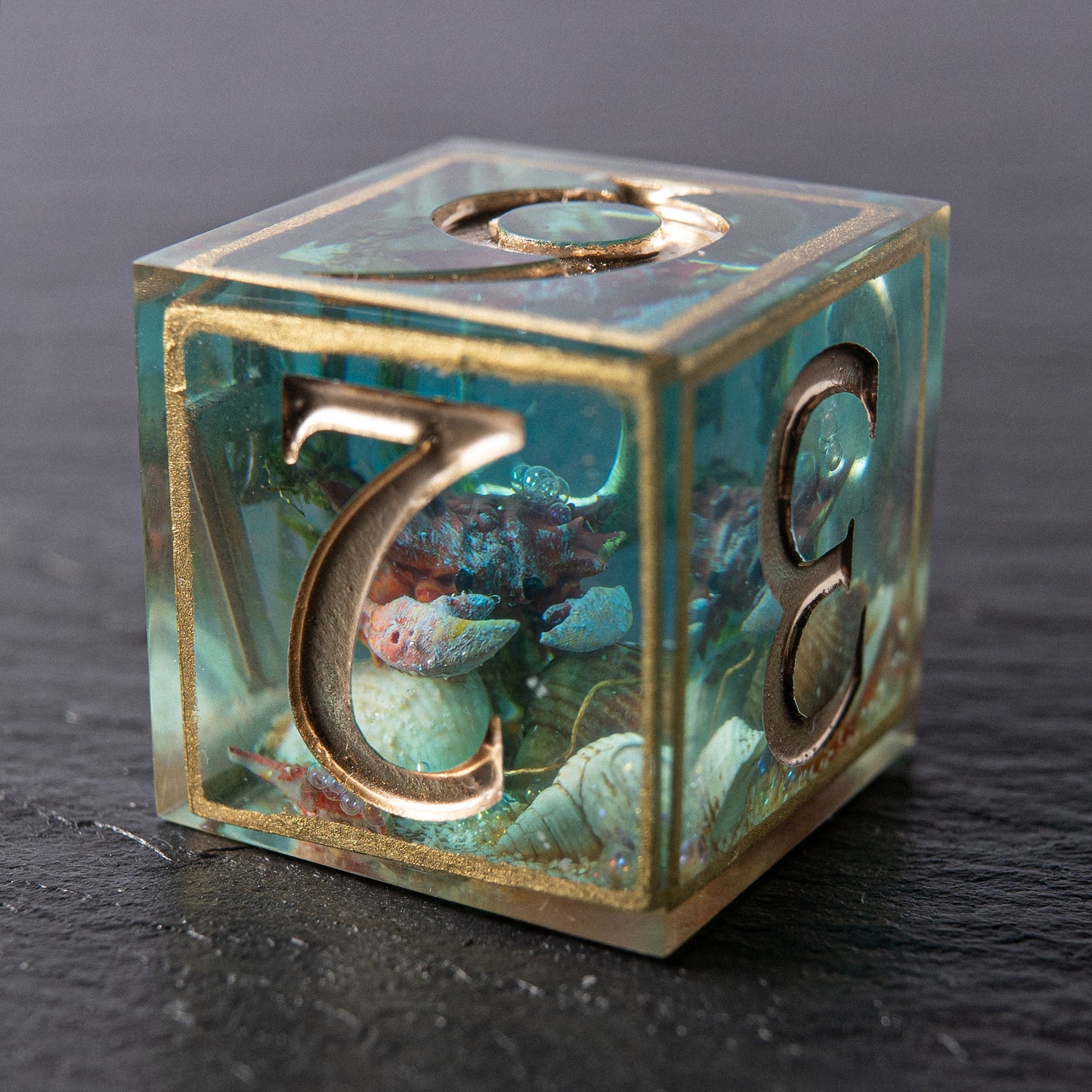 D6:Tidekeeper