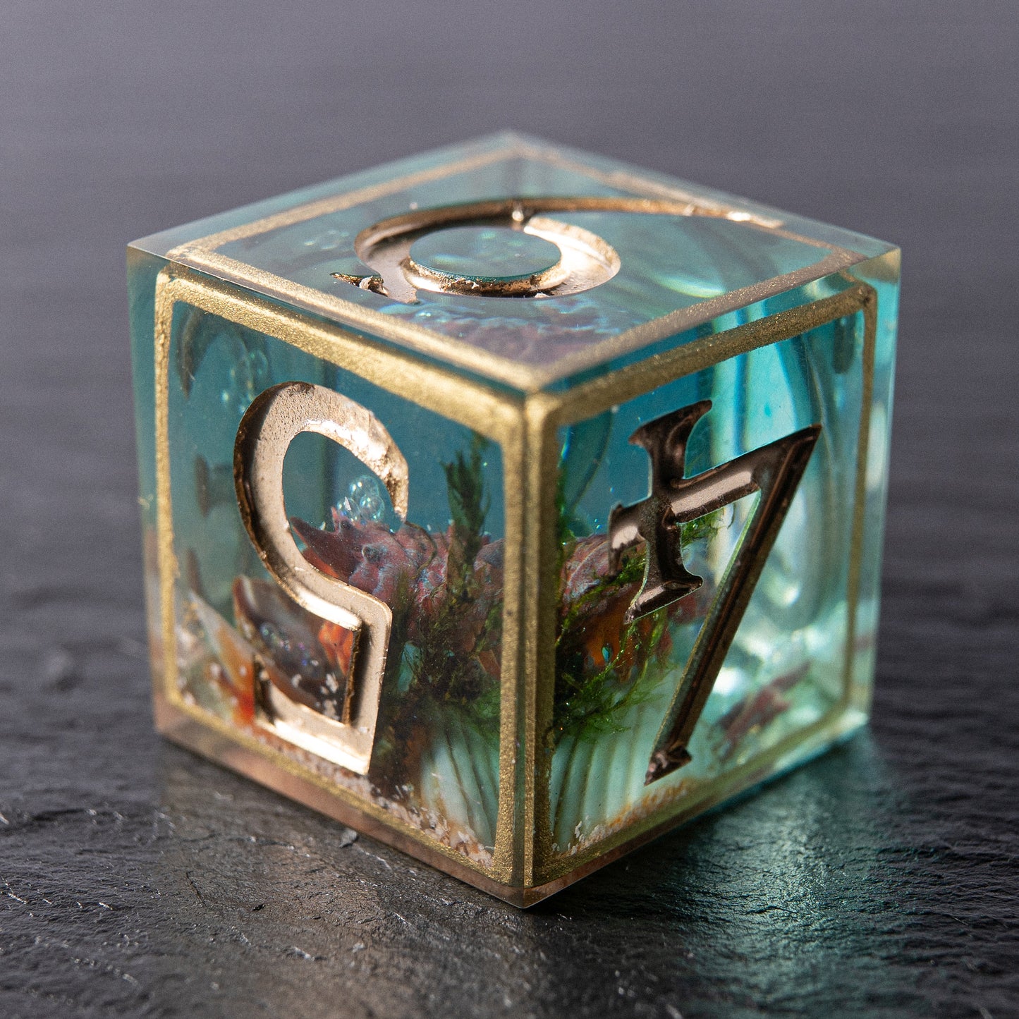 D6:Tidekeeper