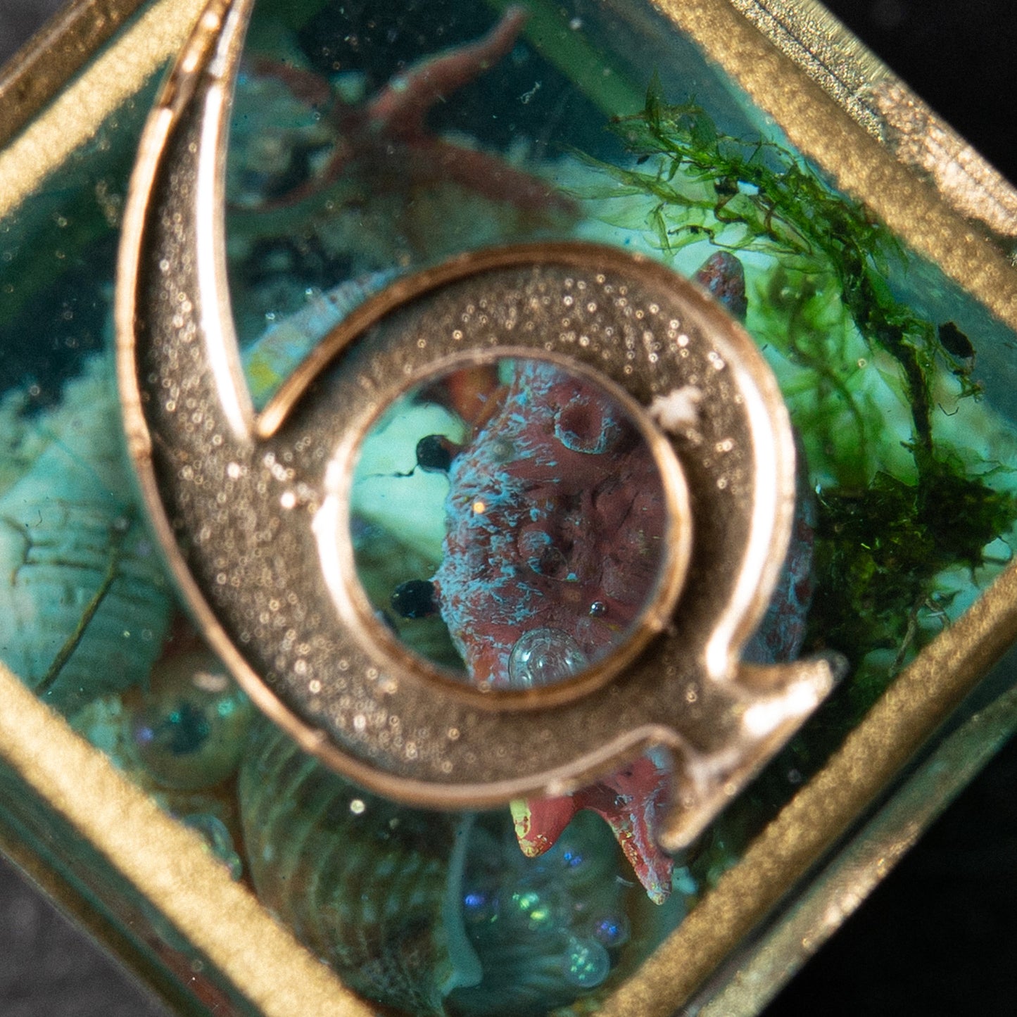 D6:Tidekeeper
