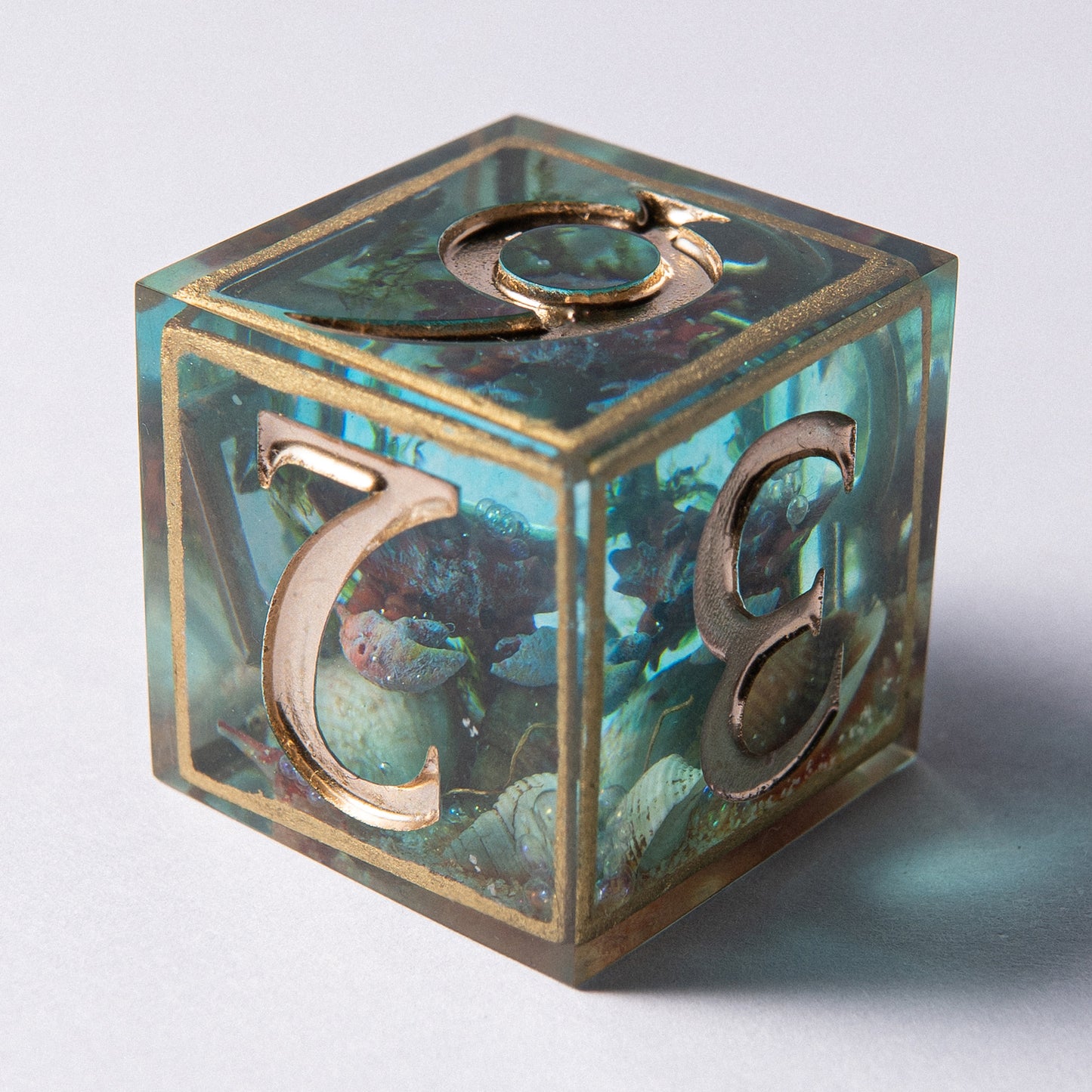 D6:Tidekeeper
