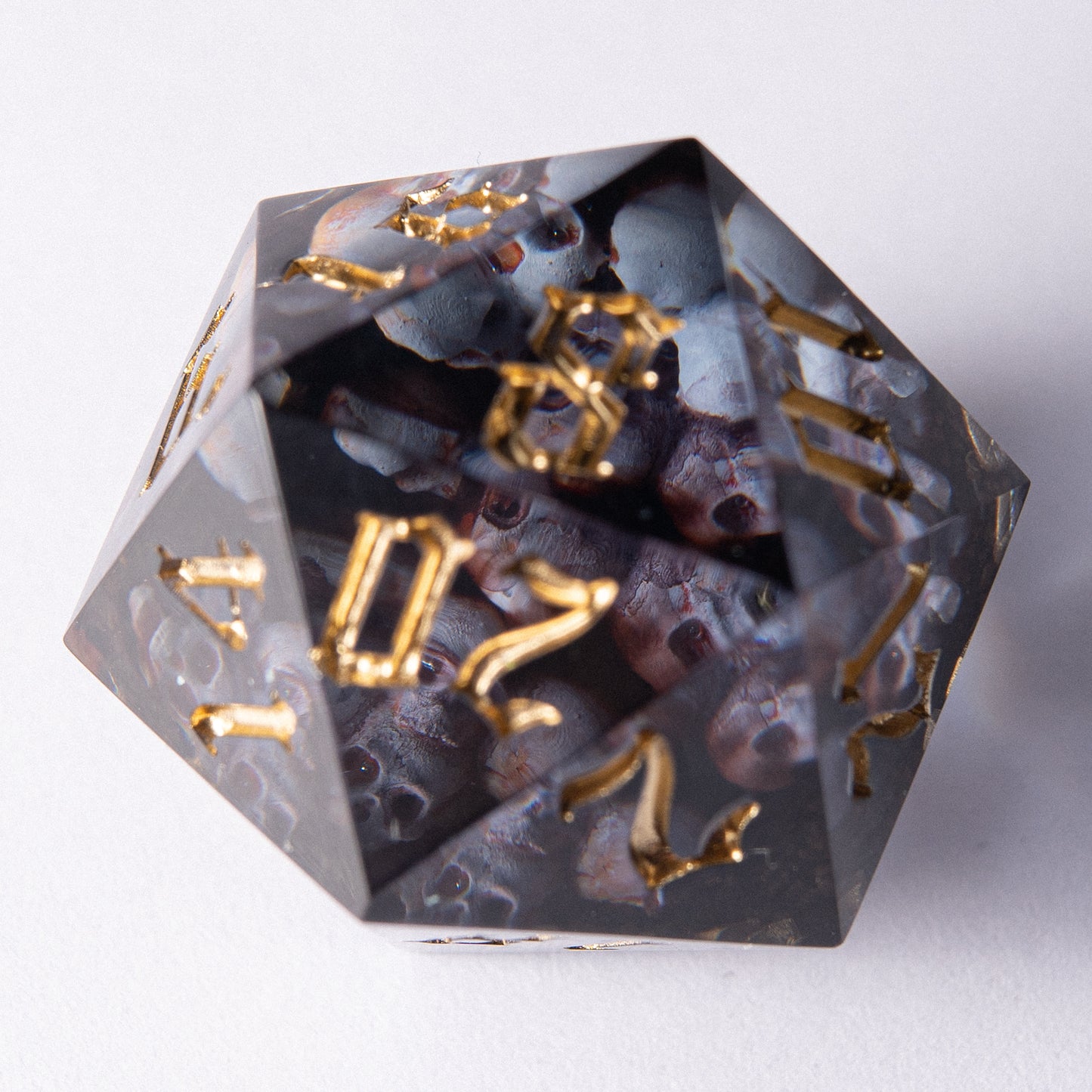 D20: Silent Ossuary