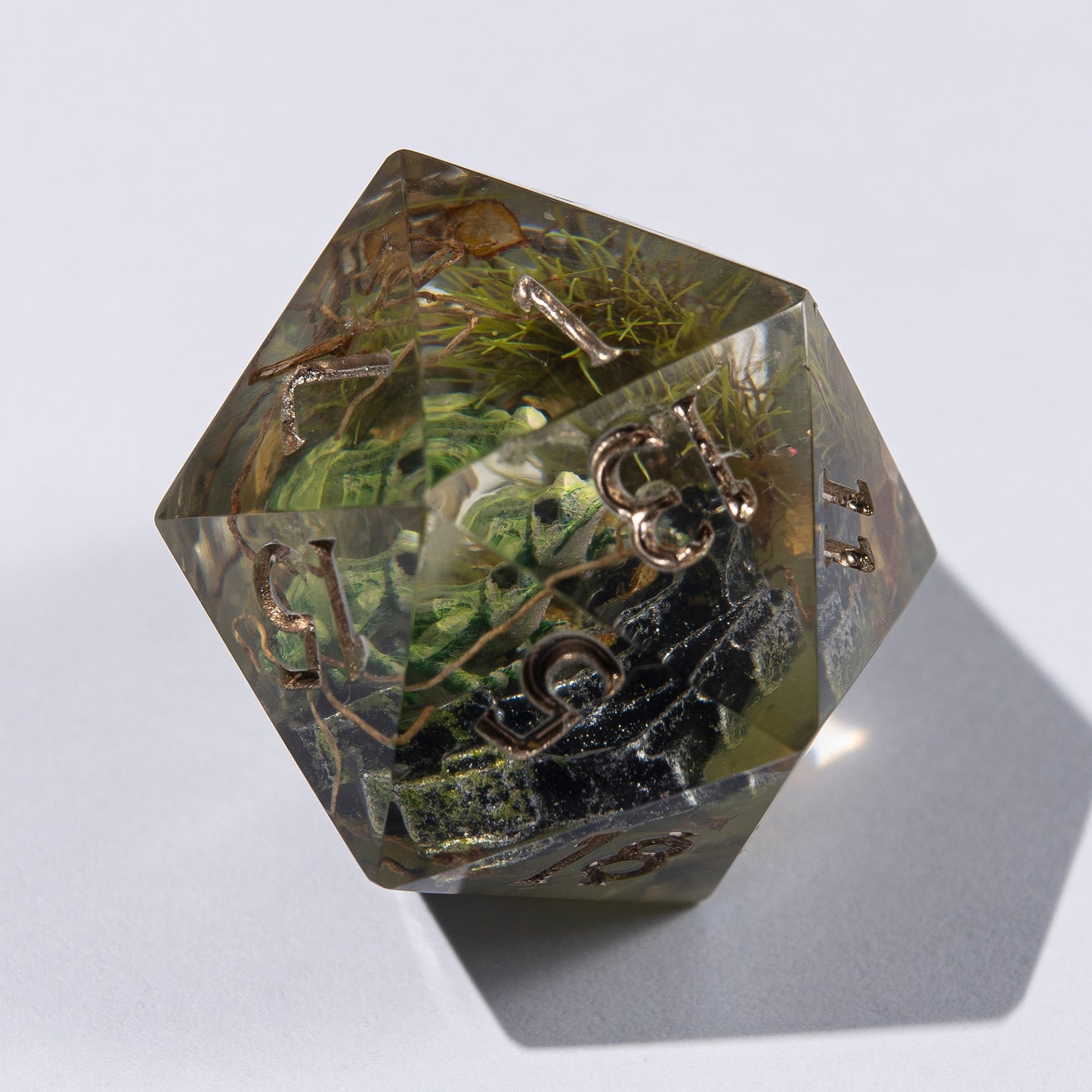 D20 with a frog