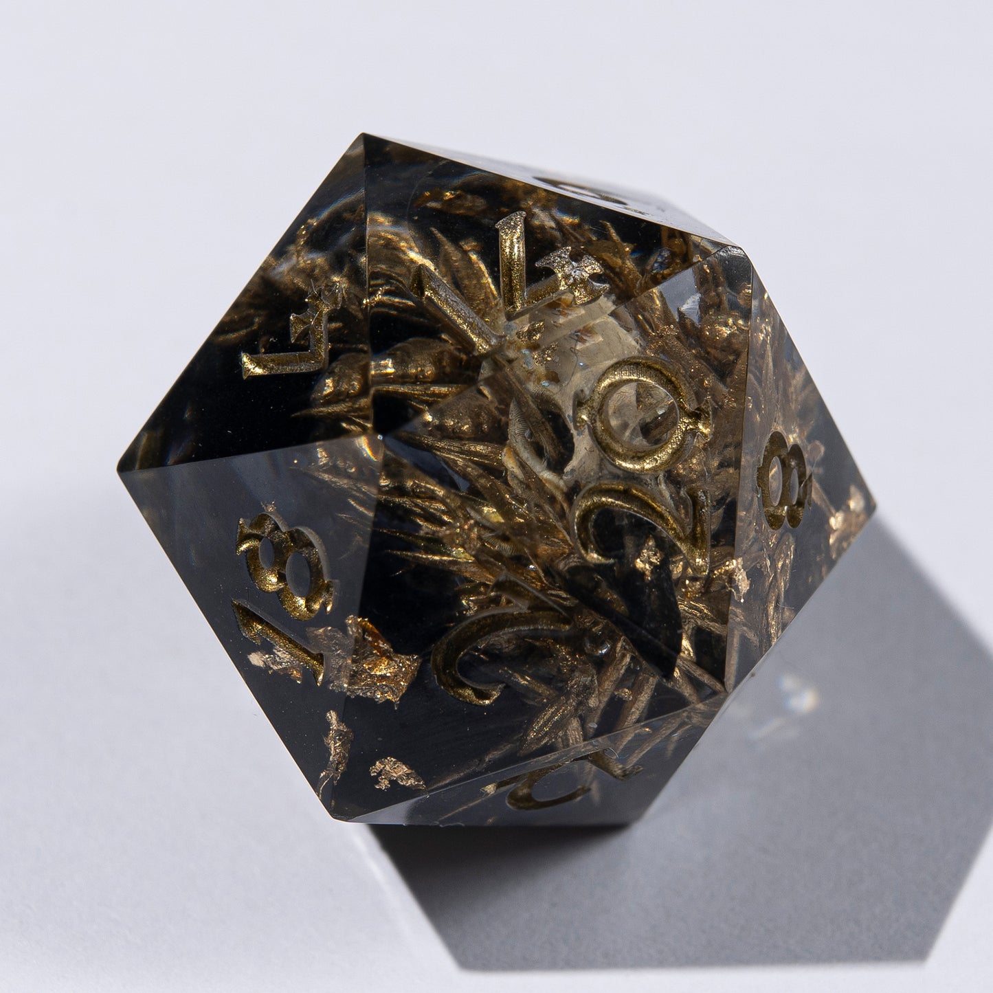 D20 with a bird skull