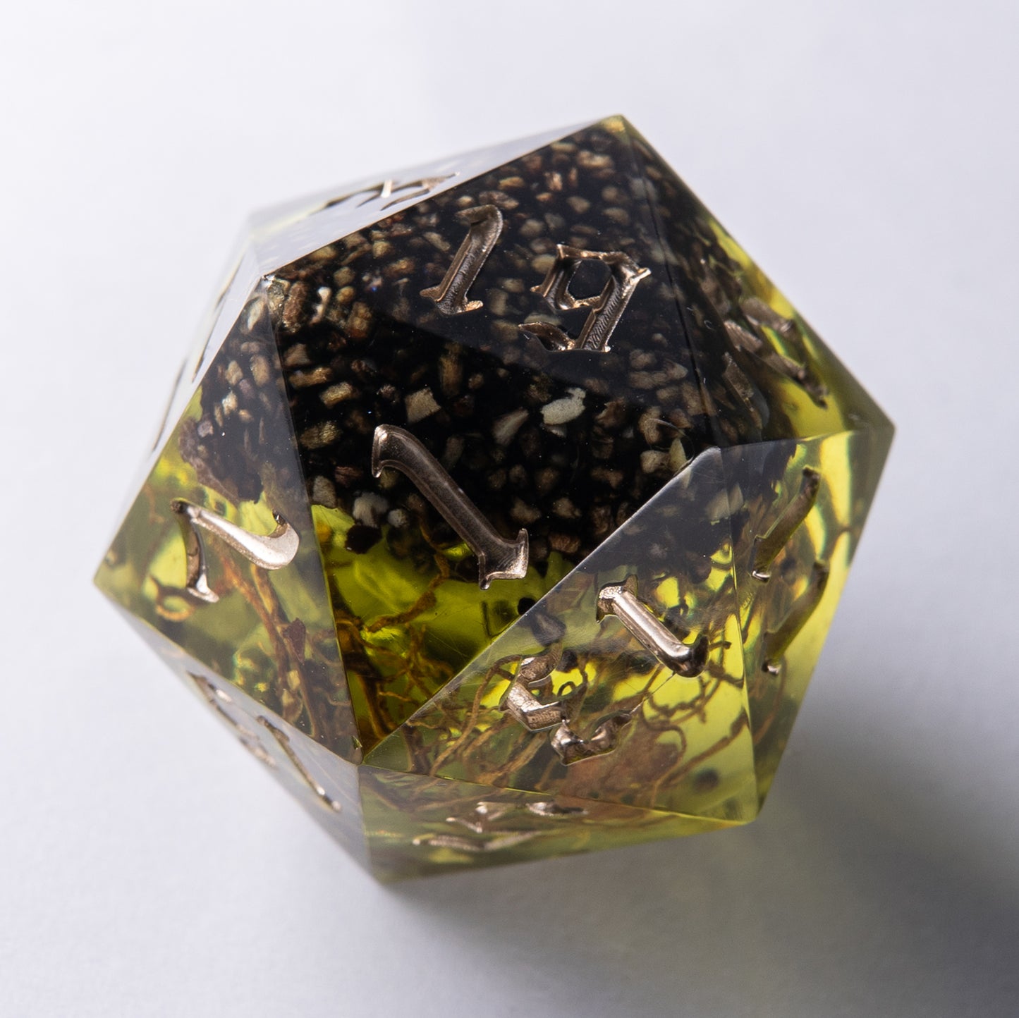 D20: Dead waters