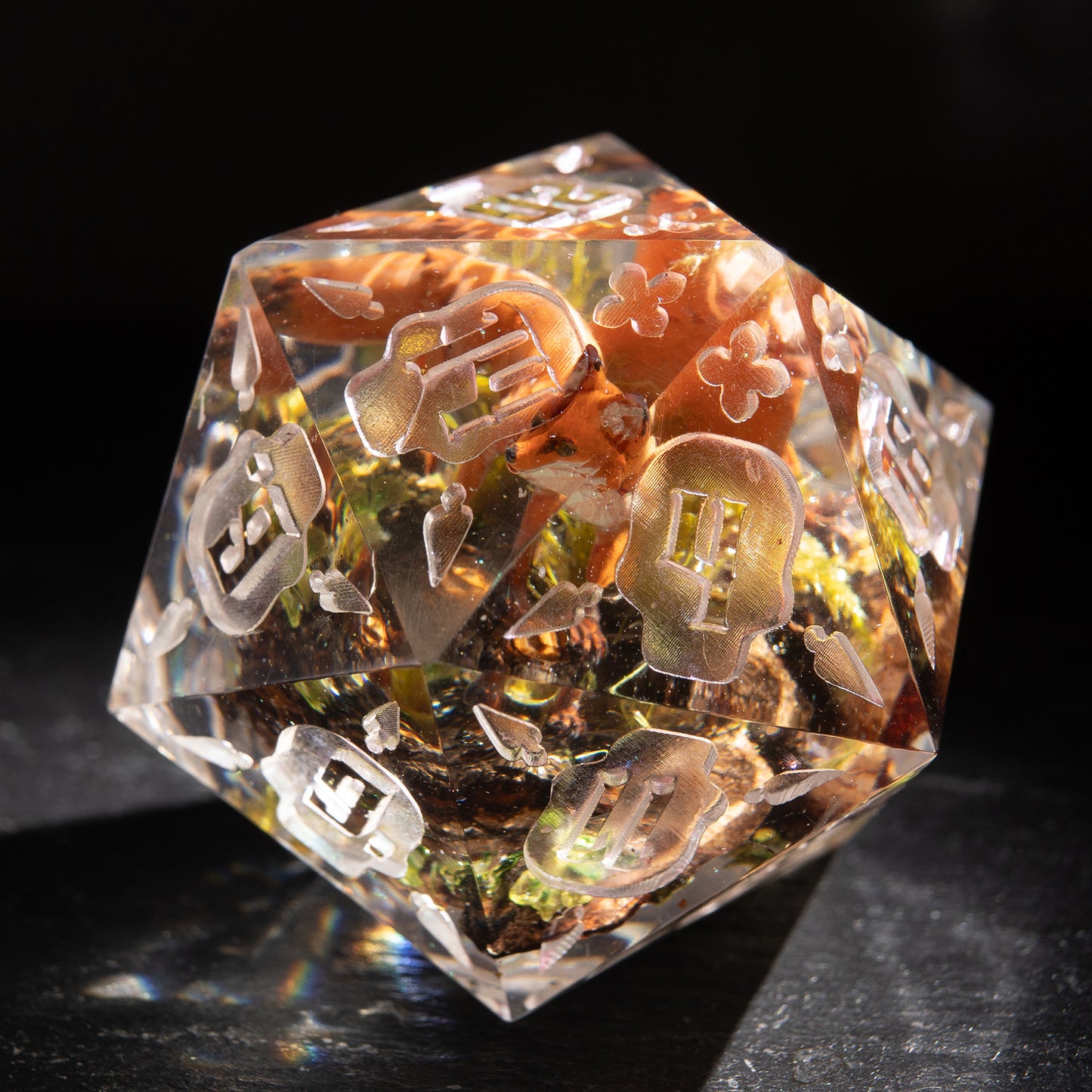 Jumbo D20: Fox Trail