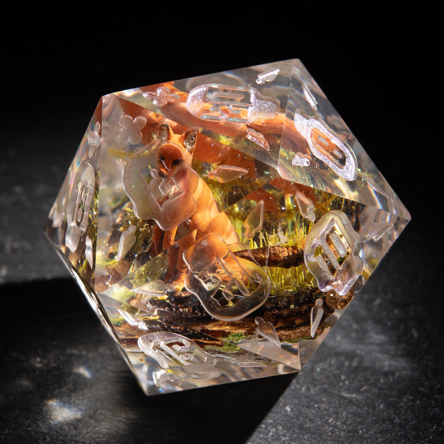 Jumbo D20: Fox Trail