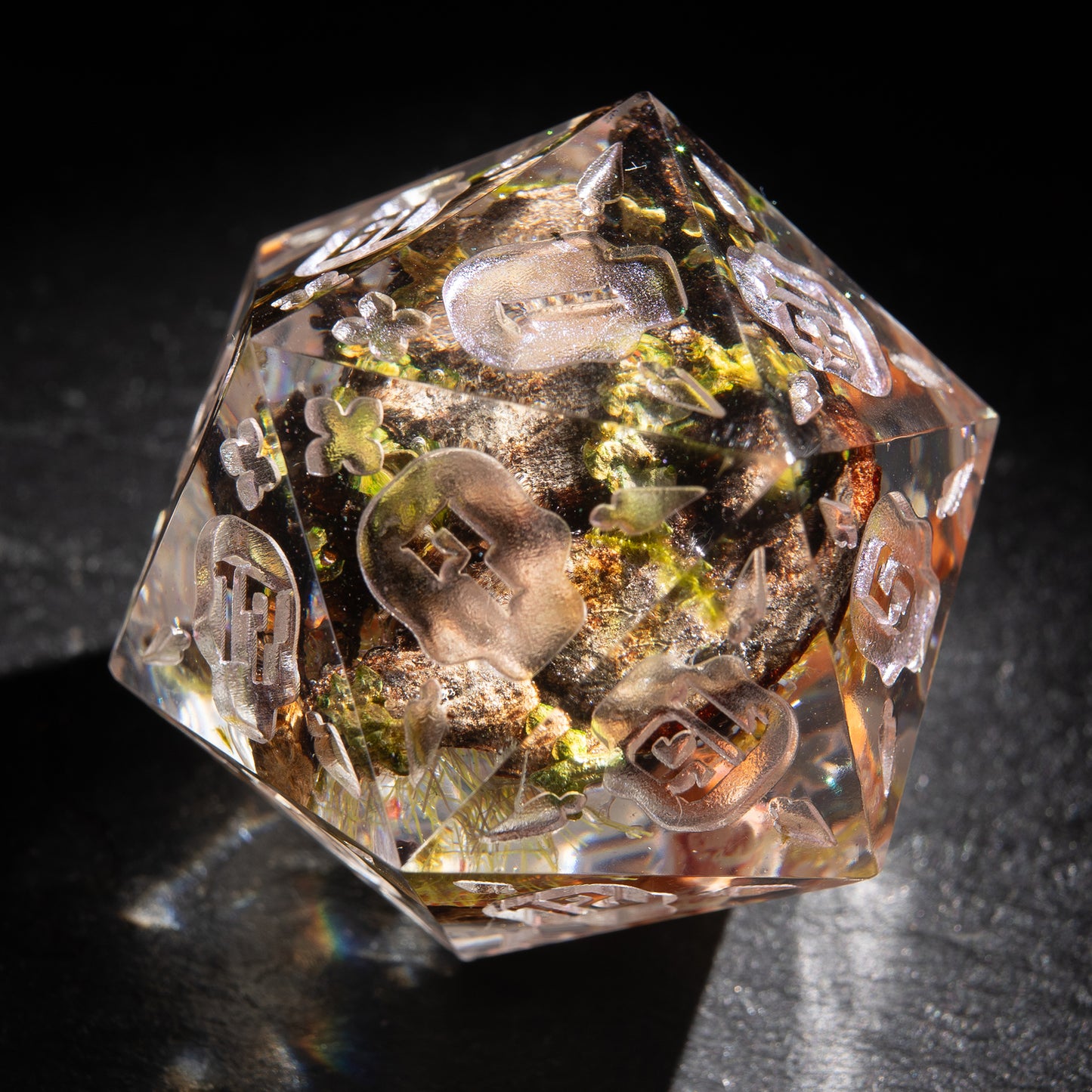 Jumbo D20: Fox Trail