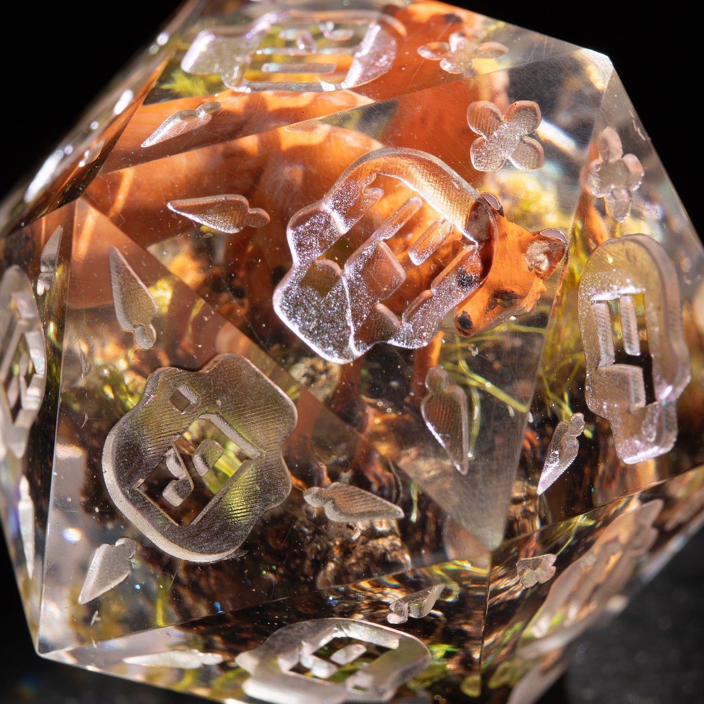 Jumbo D20: Fox Trail